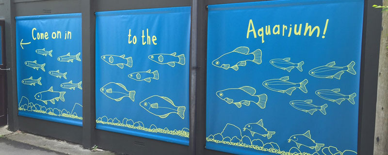 Full colour banners example